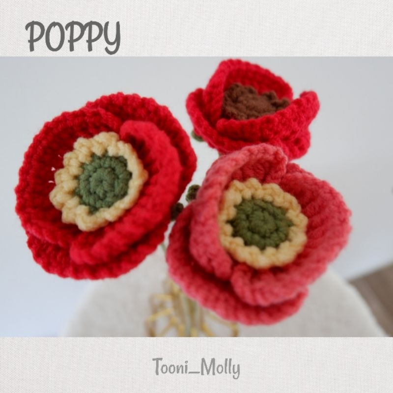 ดอกป๊อปปี้-poppy-flower