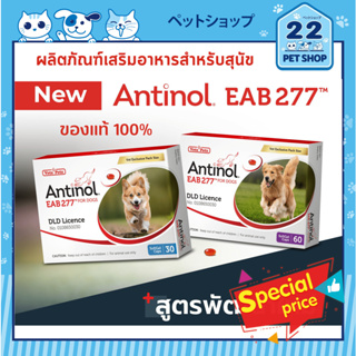 Antinol EAB277 for Dogs 60 แคปซูล ผลิตภัณฑ์เสริมอาหารสำหรับสุนัข ของแท้ 100% บรรจุ 60 แคปซูล