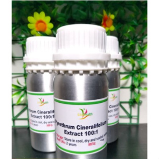 ไพรีทรัม Pyrethum Extract 1:100 สามารถผสมได้ 1ต่อ 100 ขนาด 200 มิล