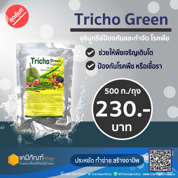 ไตรโคเดอม่ากรีน-tricho-green-จุลินทรีย์และป้องกันกำจัด-โรคพืช-500-กรัม