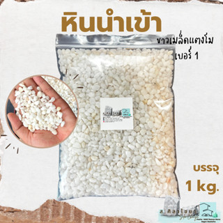 🌵หินนำเข้า ขาวเมล็ดแตงโม เบอร์ 1 บรรจุ 1 kg. หินโรยกระถาง 🪴🪴 หินโรยหน้ากระถาง หินตกแต่งสวน หินตกแต่งตู้ปลา🌵