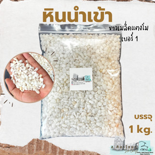 🌵หินนำเข้า ขาวเมล็ดแตงโม เบอร์ 1 บรรจุ 1 kg. หินโรยกระถาง 🪴🪴 หินโรยหน้ากระถาง หินตกแต่งสวน หินตกแต่งตู้ปลา🌵