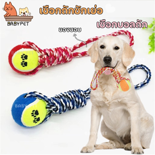 ภาพหน้าปกสินค้า【Z004】BABY PET🐶เชือกถักชักเย่อ เชื่อกถักบอลของเล่นสุนัข (คละสี) 🏐 ที่เกี่ยวข้อง