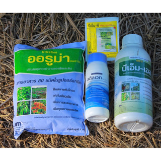 ชุดทำใบทุเรียนพร้อมสารจับใบ ชุดผสมน้ำได้ 1,000 ลิตร ตัวช่วยให้ แตกยอดยาว ใบใหญ่ ใบหนา ใบเขียวเข้ม ใบมันเงา