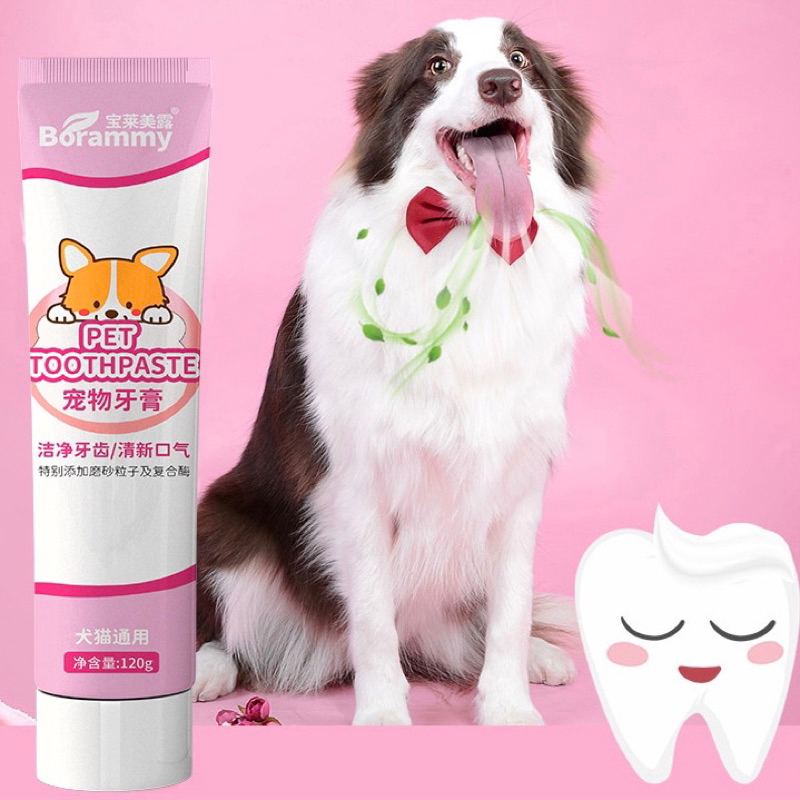 ภาพหน้าปกสินค้าพร้อมส่ง ยาสีฟันหมา ยาสีฟันสำหรับสุนัข ช่วยรักษาฟัน ลดหินปูน ฟันขาวสะอาด ไม่เป็นอันตราย จากร้าน pittypuppies บน Shopee