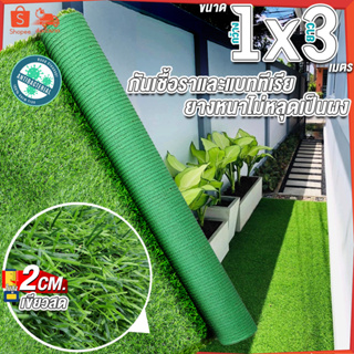 1x3เมตร = 3ตารางเมตร หญ้าใบสูง 2 ซมหญ้าเทียม หญ้าเทียมปูพื้น หญ้าเทียมยกม้วน หญ้าเทียมราคาถูก หญ้าเทียม