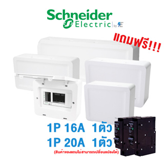 Schneider ตู้ คอนซูเมอร์ยูนิตสแควร์ดี รุ่น SDEL 4 , 6 , 10 , 14 , 18 ช่อง ฝาทึบ Consumer Unit Square D (ตู้เปล่า)