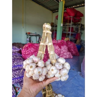 กระเทียมไทยแก้วศรีสะเกษ มัดจุก [1 กิโลกรัม] photo