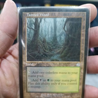 Tainted Wood MTG Single Card