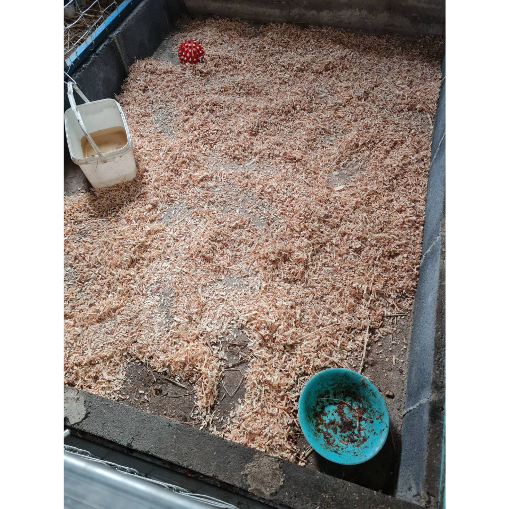 ขี้กบ-ขี้เลื่อยไม้สนwood-shavings-500g