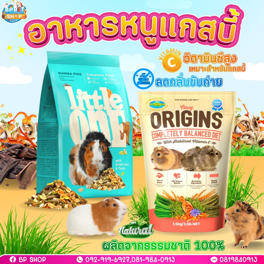 bp-pets-อาหารหนูแกสบี้-พรีเมียม-อาหารหนูเควี่-little-one-อาหารแกสบี้-อาหารสัตว์เล็ก