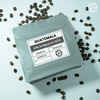 Guatemala SHB Antigua sc 14/16 - Washed Process (Medium Roasted)