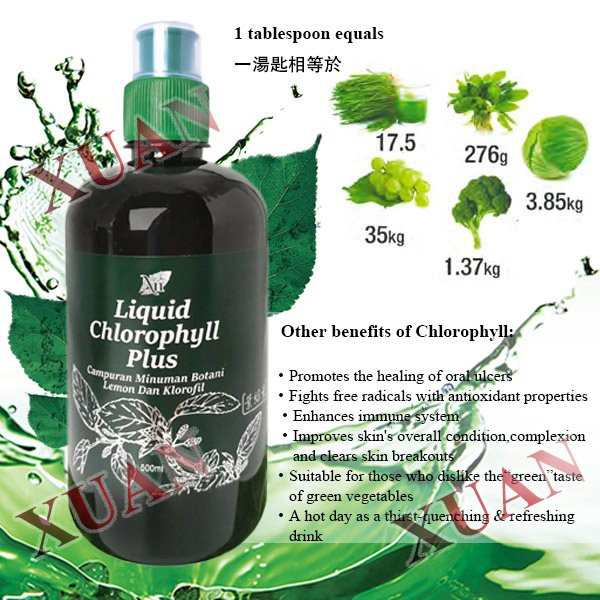 liquid-chlorophyll-plus-คลอโรฟิลล์-พลัส-ชนิดน้ำ-500-มล-ของแท้100-คลอโรฟิลล์คอสเวย์-ล้างสารพิษ-ต้านอนุมูลอิสระ