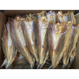 ปลาช่อนทะเล ปลาจิ๊กโก๋ ปลาใหญ่ น้ำหนัก 1 กิโลกรัม สะอาด ใหม่ ส่งเร็ว ส่งไว ของฝาก ปีใหม่ ทำน้ำพริก ย่าง แกง อร่อย