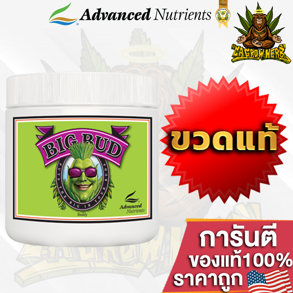 advanced-nutrients-big-bud-powder-แบบผง-ปุ๋ยเร่งดอกใหญ่-ปุ๋ยเพิ่มน้ำหนักดอก-และผลผลิต-0-15-35-กระปุกแท้โรงงาน100