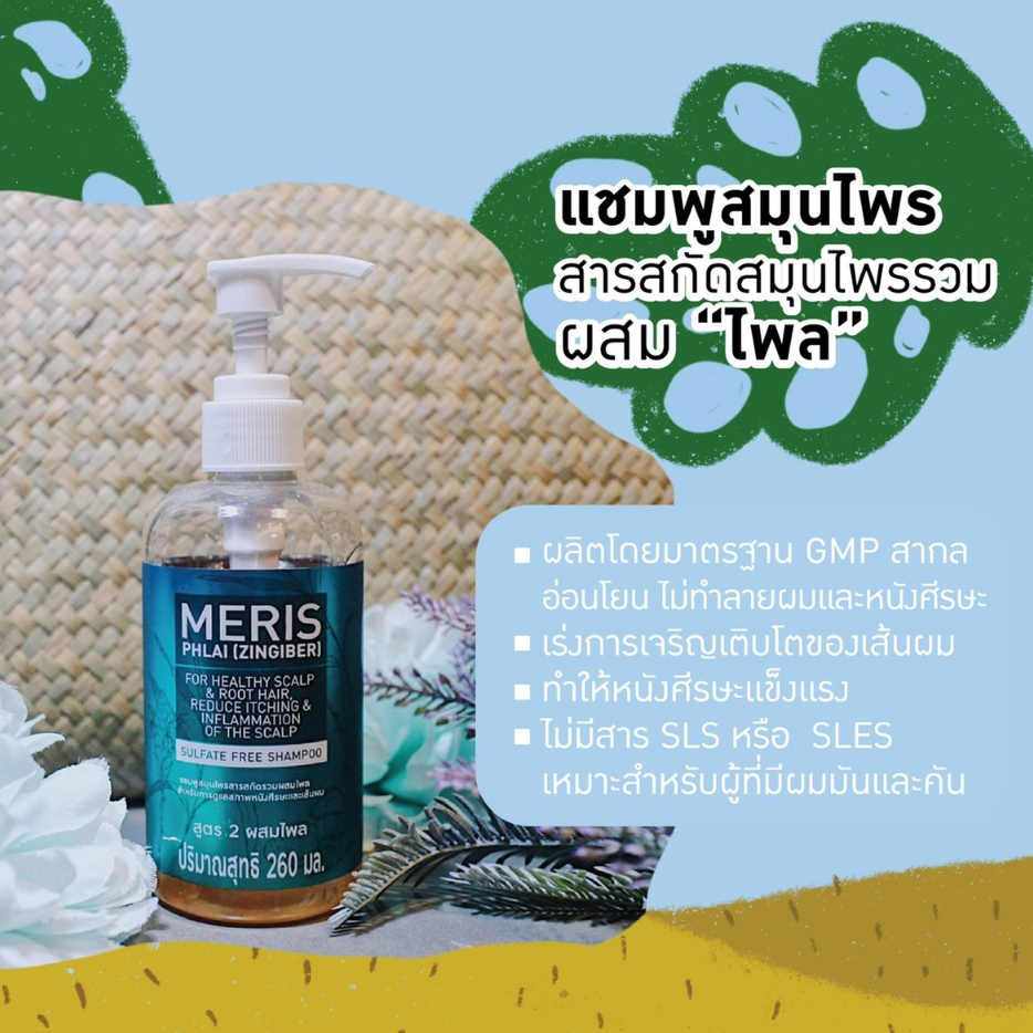 เมอริทแชมพูสูตร-รวมไพล-ขนาด-260ml