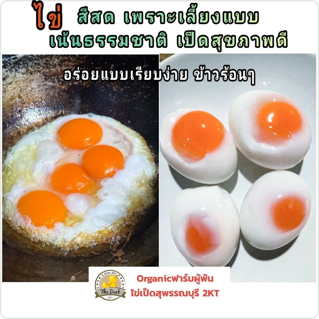 ไข่เป็ด-organic-ไข่เค็ม-ไข่เยี่ยวม้า-ฟาร์มผู้พันไข่เป็ดสุพรรณบุรี2kt-เลี้ยงแบบธรรมชาติเป็ดอารมณ์ดี