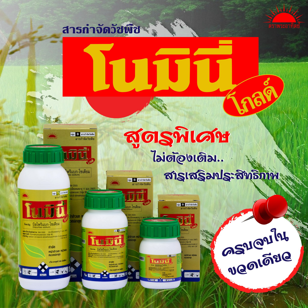 โนมินี่-ซันบินเดอร์-500ml-500ml-บิสไพริแบกโซเดียม-สารกำจัดวัชพืช-กำจัดหญ้า-ในนาข้าว-กำจัดหญ้าแดง-หญ้ากระดูกไก่