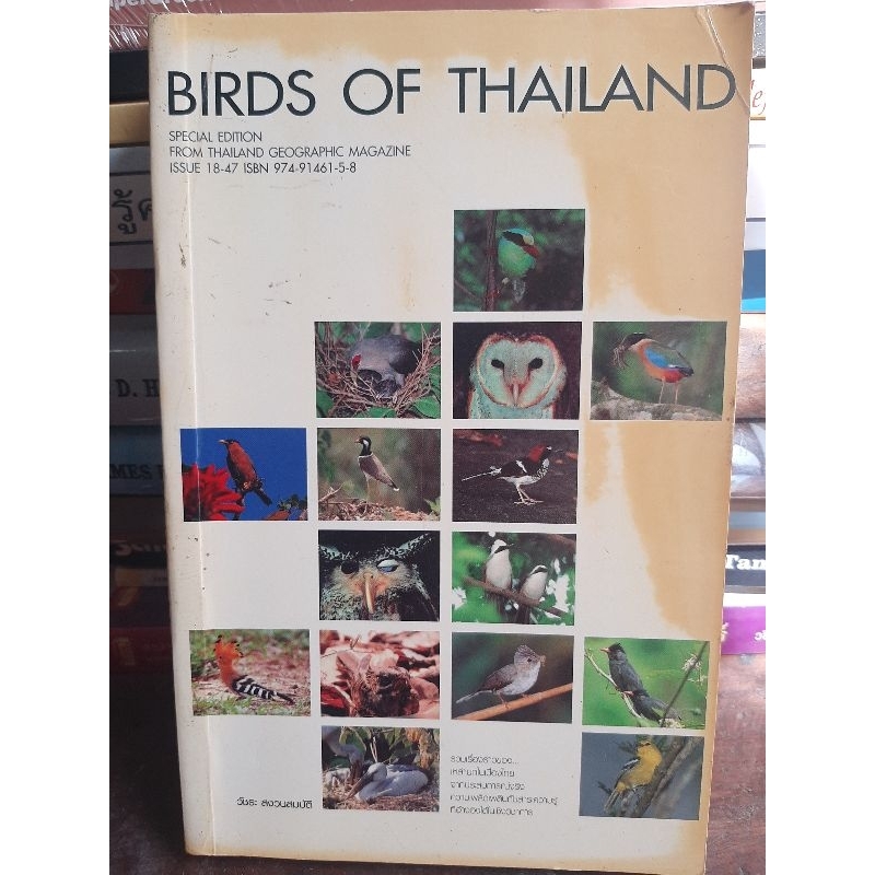 เบิร์ดออฟ-thailand-หนังสือมือสองสภาพดี-หายาก