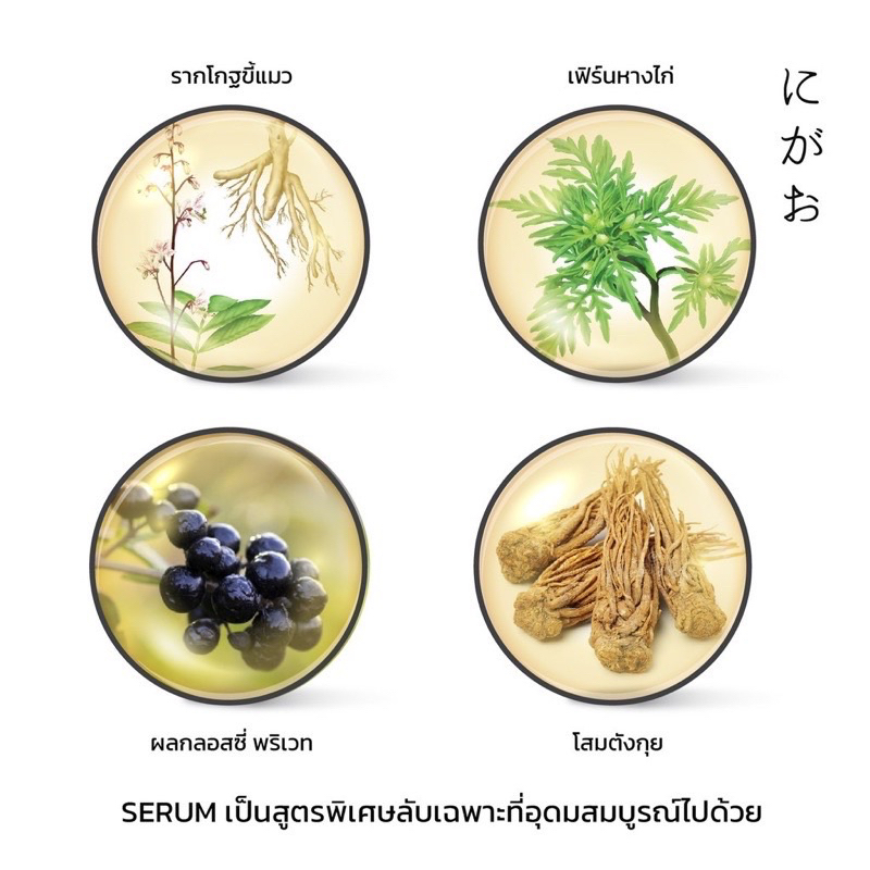 nigao-anti-hair-loss-herbal-serum-เซรั่มสมุนไพรสำหรับฟื้นฟู-ผมร่วง-ผมบาง-ผมมันและผมหงอกก่อนวัย-50-ml