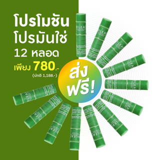 ยาดมไบลีฟ มี CBD Bileaf 12 หลอด (ไม่มีกล่อง)