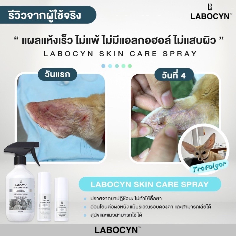 labocyn-skin-care-spray-สเปรย์ดูแลผิวหนังสำหรับสัตว์เลี้ยง-ที่ปัญหาแผล-ผิวหนัง-500ml-lc03