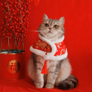 ภาพหน้าปกสินค้า[🎄🍎พร้อมส่งจากไทย🍎🎄] ชุดแมว ชุดสุนัข ชุดเทศกาล ชุดตรุษจีน ชุดตรุษจีน ชุดคริสต์มาส ที่เกี่ยวข้อง