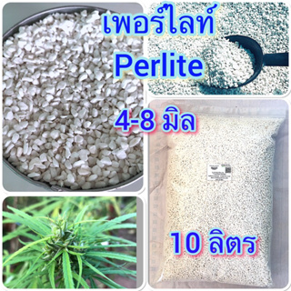 เพอร์ไลท์ Perlite  ถุงใหญ่ 10 ลิตร  สุดคุ้ม