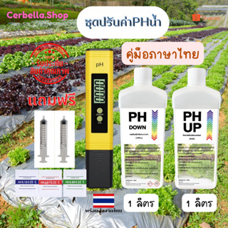 ชุดปรับค่าpHในน้ำ เซ็ทปรับค่าPHในน้ำ มิเตอร์วัดค่าPHน้ำ+น้ำยาปรับค่าpH Up&Down pH Meter เครื่องวัดค่ากรด-ด่าง ในน้ำ