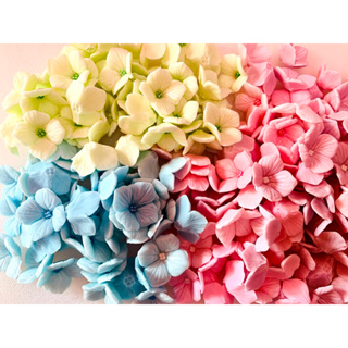 สินค้า 🌸ถูกมาก🌸ดอกละ1บาท น้ำตาลปั้น ดอกไม้กินได้ กัมเพส ดอกไฮเดรนเยีย ดอกไม้แต่งเค้ก น้ำตาลแต่งเค้ก
