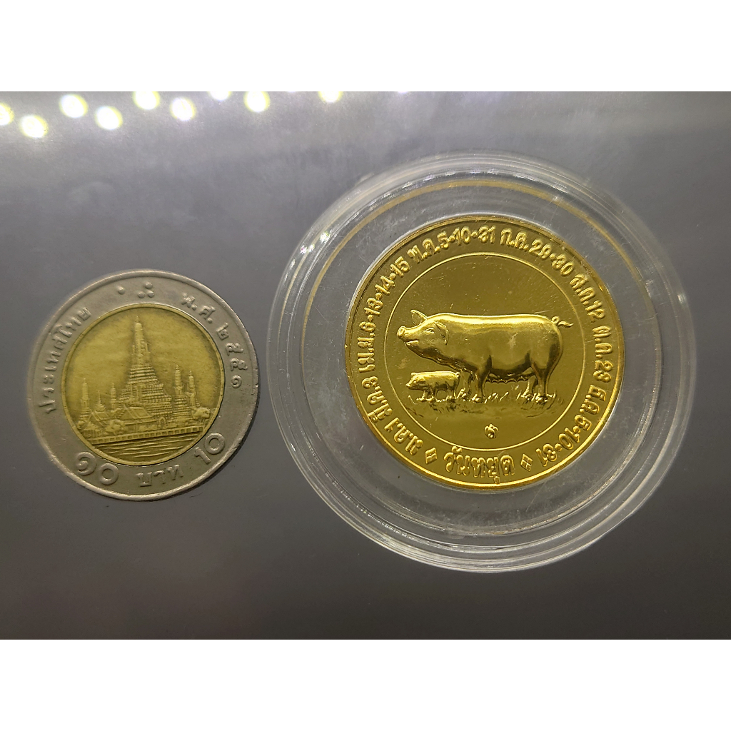เหรียญนักษัตร-ทองแดงชุบกาหลั่ยทอง-ปีกุน-พ-ศ-2550-กรมธนารักษ์สร้าง-ไม่ผ่านใช้