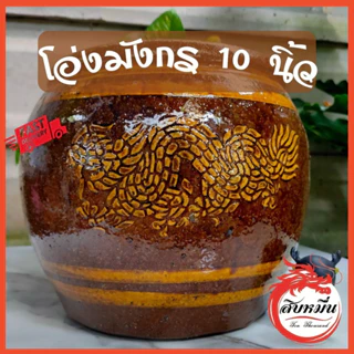 โอ่งมังกร 10 นิ้ว ปากกว้าง 8 นิ้ว ผลิตจากโรงงานราชบุรี photo
