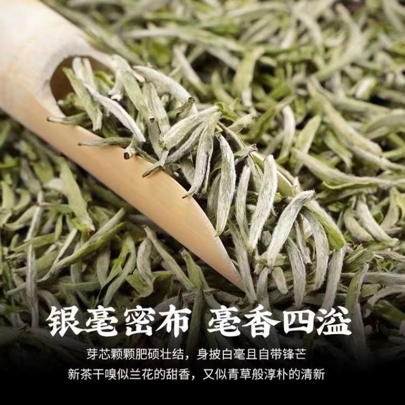 SILVER NEEDLE (BAIHAO YINZHEN / 2020, 2018 M.) Baltoji Arbata (357 G