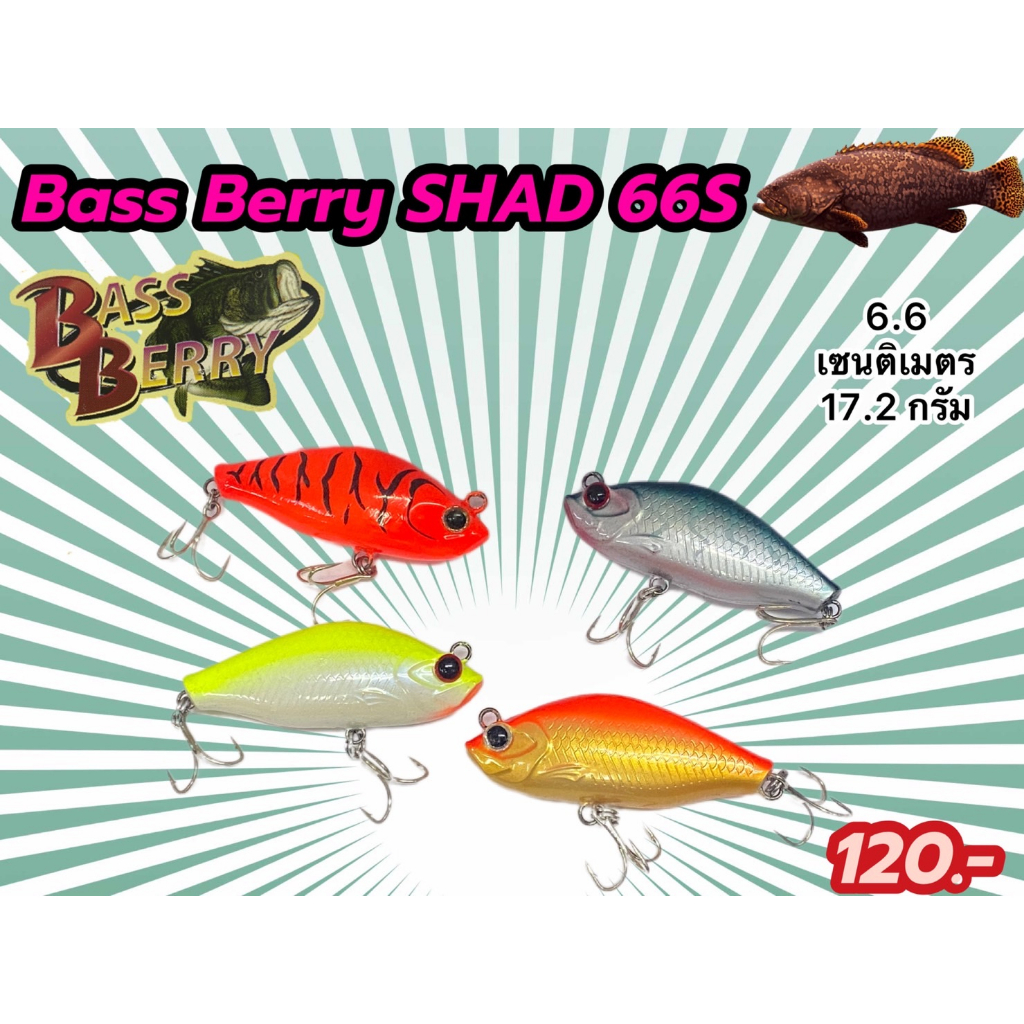 เหยื่อตกปลาเก๋า-bassberry-shad-66s