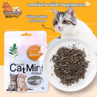 ภาพหน้าปกสินค้า【P034】BABY PET😻😺 แคทมิ้นท์ ผงมิ้นท์ สมุนไพรแมว ราคาถูก ช่วยขับถ่ายขน ช่วยระบบเผาผลาน เจริญอาหาร กระปรี้กระเปร่า 🌿 ที่เกี่ยวข้อง