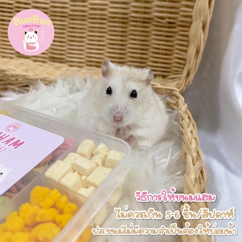 bunbunxhamster-ขายดี-ส่งไว-hamham-snack-box-set-เซ็ทขนมหนูแฮมเตอร์-10-อย่าง