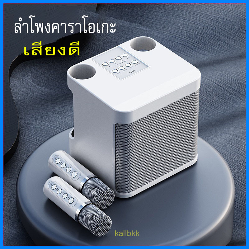 คาราโอเกะ-พกพา-พร้อมไมโครโฟนไร้สาย