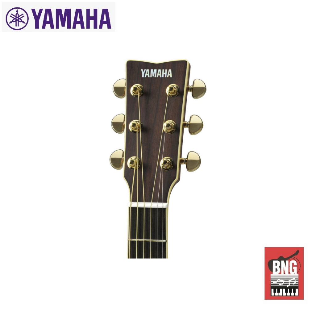 yamaha-ls-ta-กีต้าร์โปร่งไฟฟ้า-acoustic-guitar