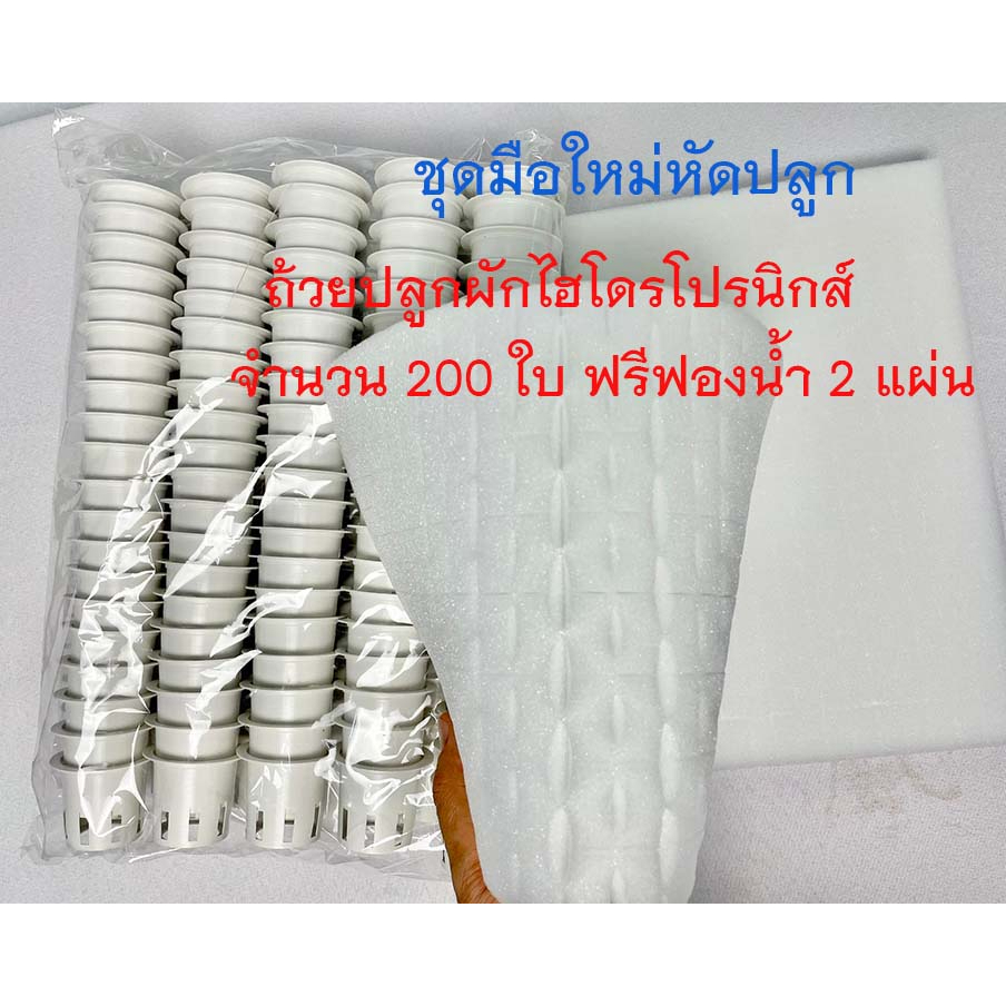 ถ้วยปลูกผักไฮโดรโปรนิกส์-ชุด-200ใบ-ฟรี-ฟองน้ำ-2แผ่น-กระถางปลูกผักสลัด-ถ้วยปลูกผักไฮโดรฯ-ทนทานใช้ซ้ำได้