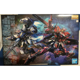Mg 1/100 Aile Strike Gundam Ver.RM China Red Color + Full Pack Set