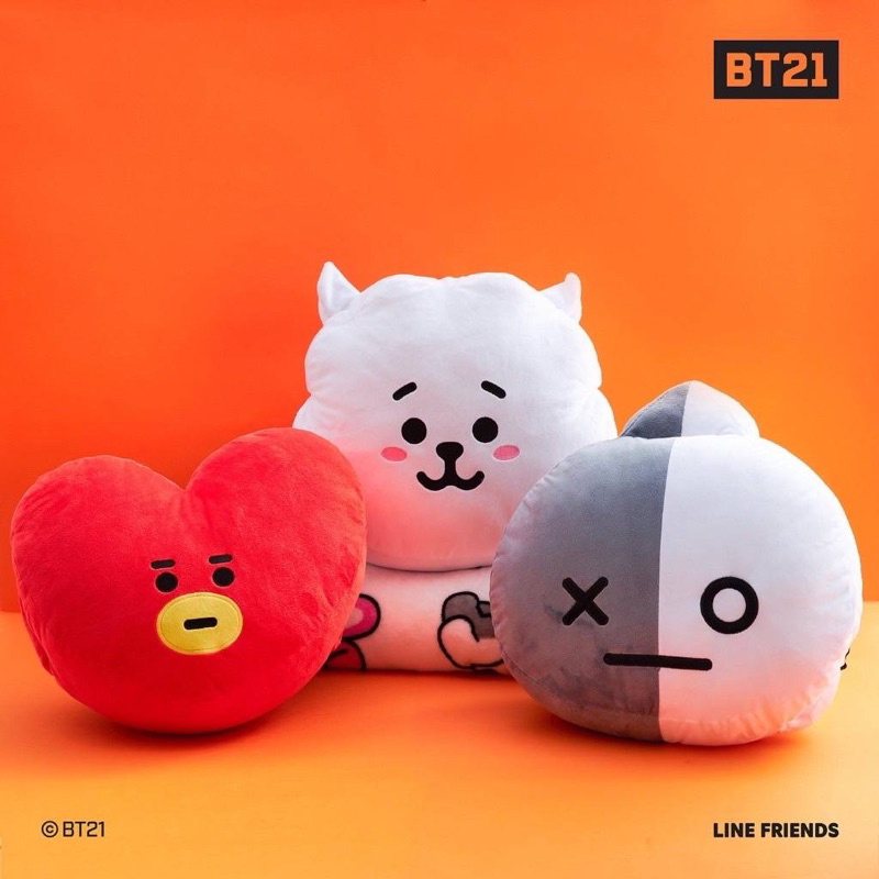 bt21-basic-pillow-blanket-หมอนผ้าห่มซุกมือ