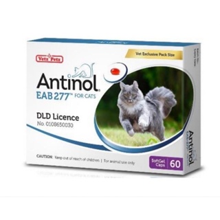 สินค้า Antinol Cat (Exp.01/2024) แอนทินอล อาหารเสริม บำรุงข้อ ช่วยลดการระคายเคืองที่ผิวหนัง สารสกัดจากธรรมชาติ 60 เม็ด