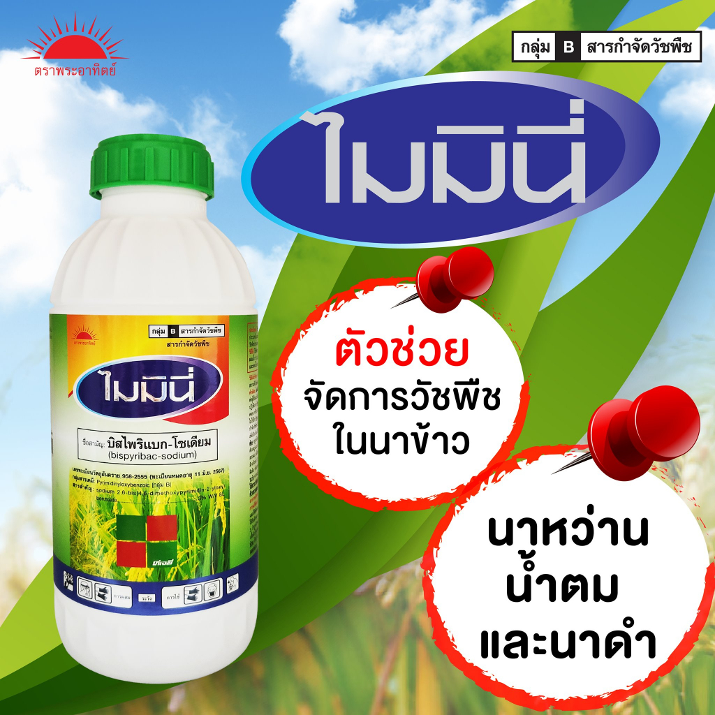 ไมมินี่-1l-บิสไพริแบกโซเดียม-สารกำจัดวัชพืช-หญ้า-ในนาข้าว-กำจัดหญ้าแดง-หญ้ากระดูกไก่-หญ้าดอกธูป