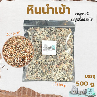 🌵หินนำเข้า ชมพูบาหลี  บรรจุ 500 g. หินโรยกระถาง 🪴🪴 หินโรยหน้ากระถาง หินตกแต่งสวน หินตกแต่งตู้ปลา🌵