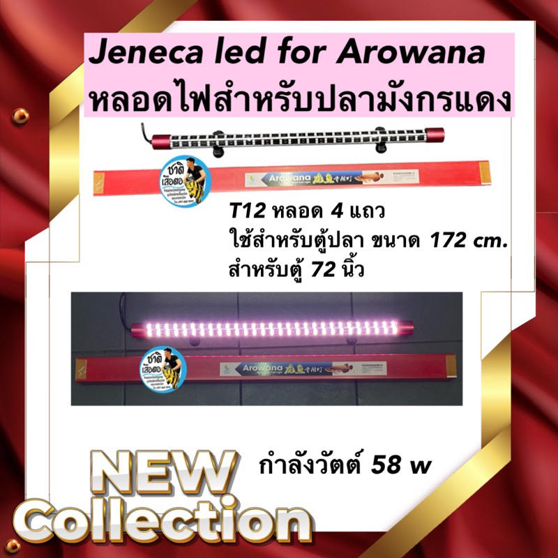 jeneca-led-for-arowana-taning-หลอดไฟสำหรับปลามังกรแดง-t12-หลอด-4-แถว-ใช้สำหรับตู้ปลา-ขนาด-172-cm-สำหรับตู้-72-นิ้ว