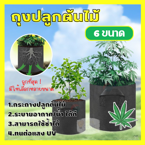 non-woven-bag-กระถางผ้า-สีดำ-กระถางผ้าปลูกต้นไม้-ถุงปลูกต้นไม้-กระถางต้นไม้