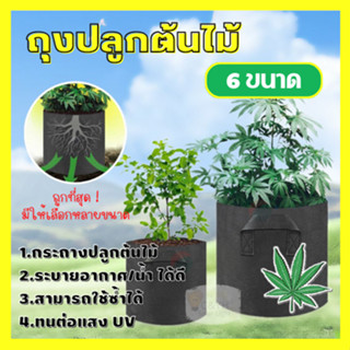 non woven bag กระถางผ้า สีดำ กระถางผ้าปลูกต้นไม้ ถุงปลูกต้นไม้ กระถางต้นไม้