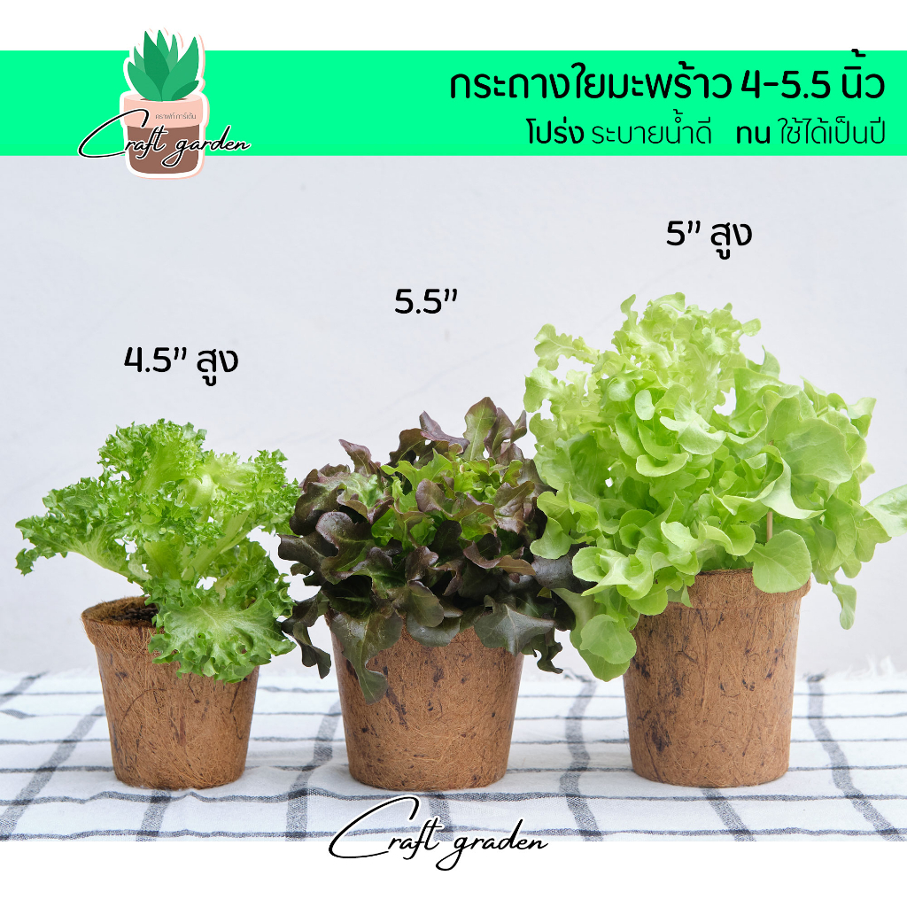 ใหม่-กรถางใยมะพร้าว-4-5-5-5นิ้ว-ปลูกกัญชา-รุ่นหนาพิเศษ