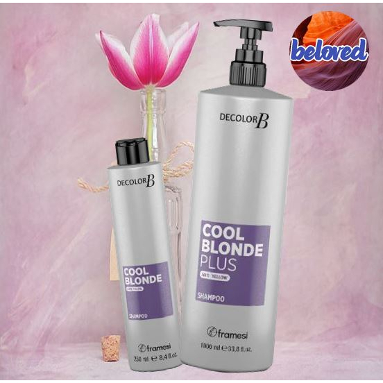 framesi-decolor-b-cool-blonde-plus-shampoo-แชมพูแอนตี้เยลโล่