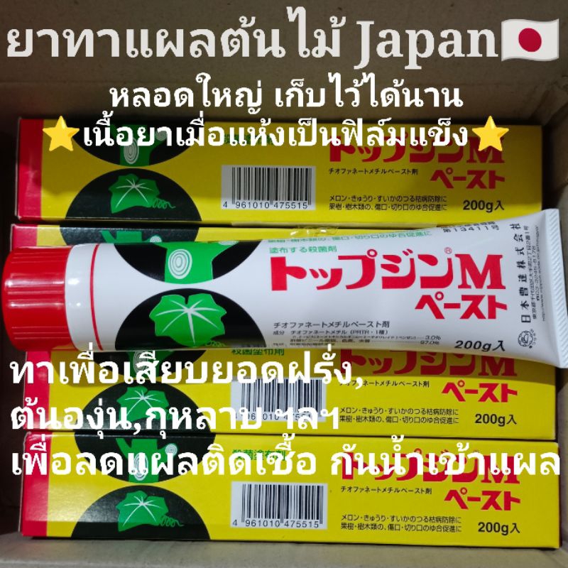 ยาทาแผลต้นไม้-ยาเสียบยอดฝรั่ง-ยาเสียบยอดมะเดื่อฝรั่ง-made-in-japan-สินค้าแนะนำ-ยากาวหลอดทาแผลต้นไม้-กันน้ำเข้าแผล